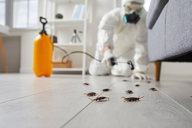 Commercial Kitchen Cockroach Control in Bayou L'Ourse